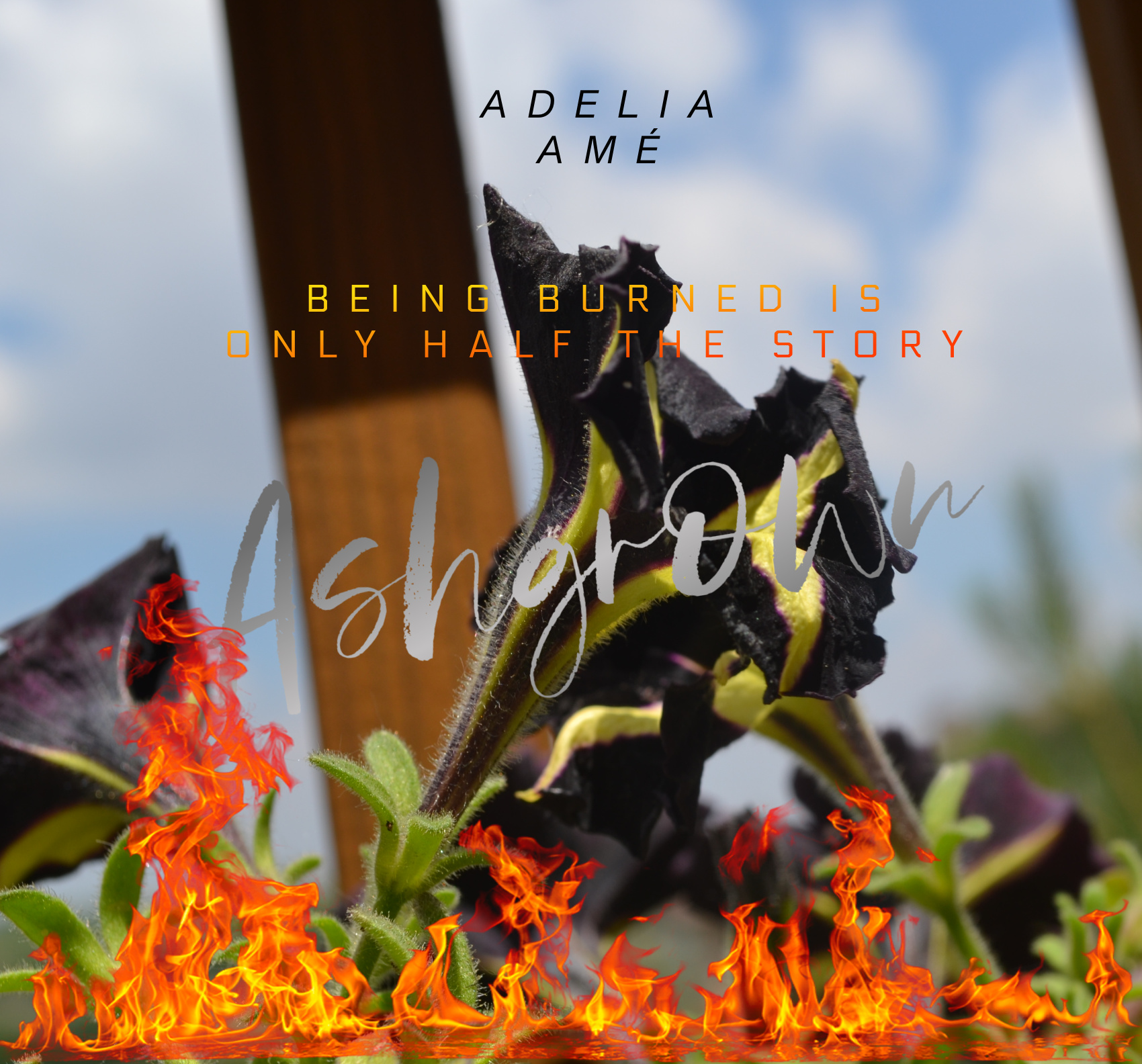 Image: cover of Ashgrown: Being Burned is Only Half the Story by blog author